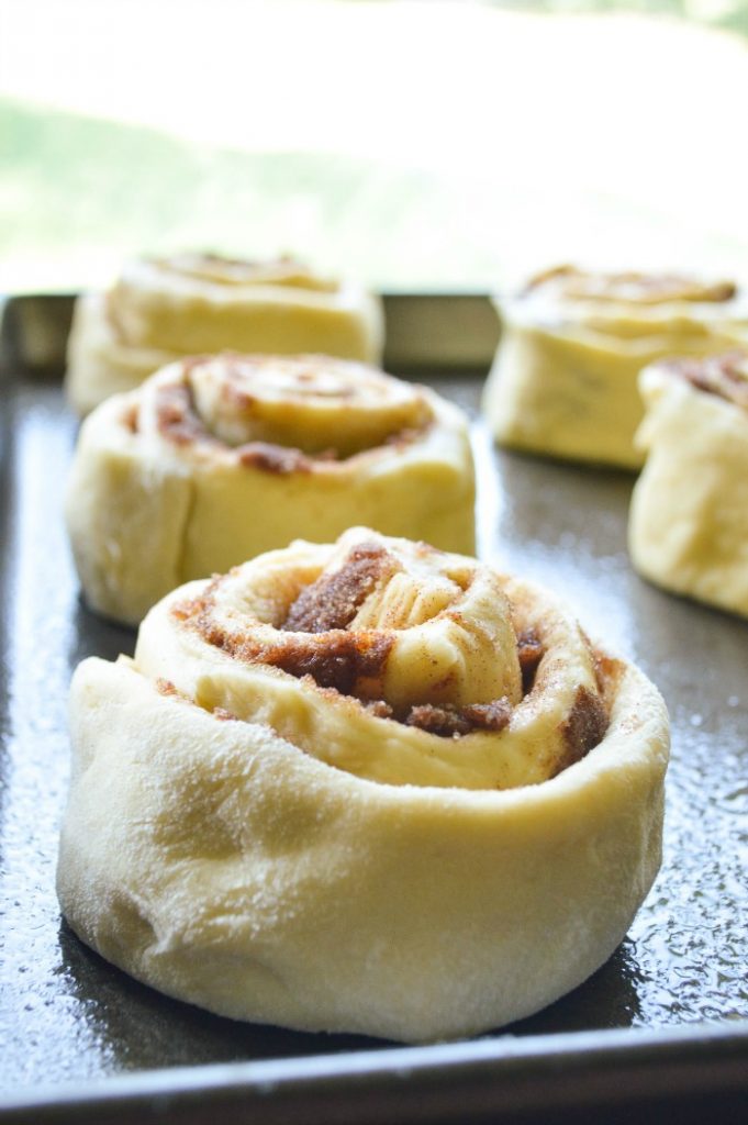 Giant Cinnamon Rolls Sugar Dish Me