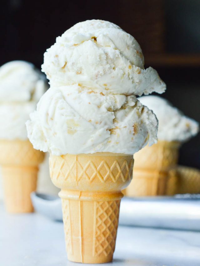 Coconut Macadamia Nut Ice Cream - Sugar Dish Me